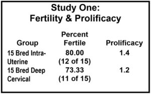 Sheep Artificial Insemination